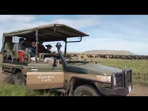 Latest #HerdTracker update: Great migration on the Ndutu plains