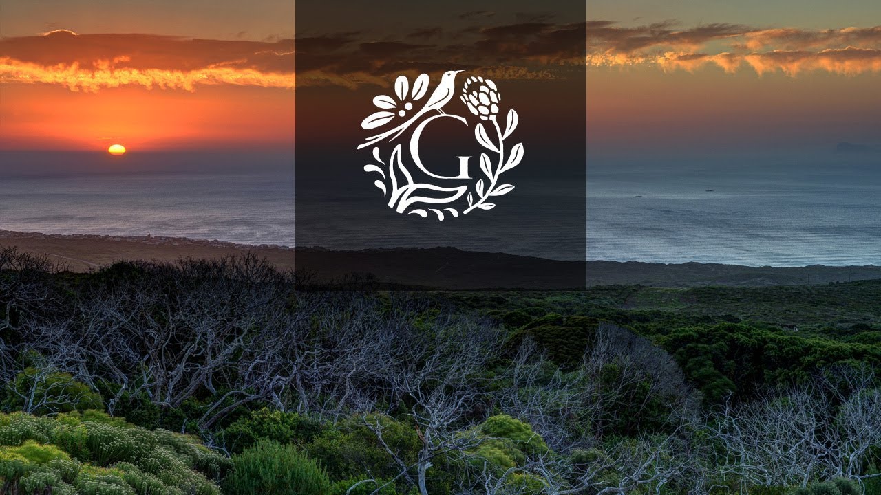 Grootbos Intro | The Journey Begins