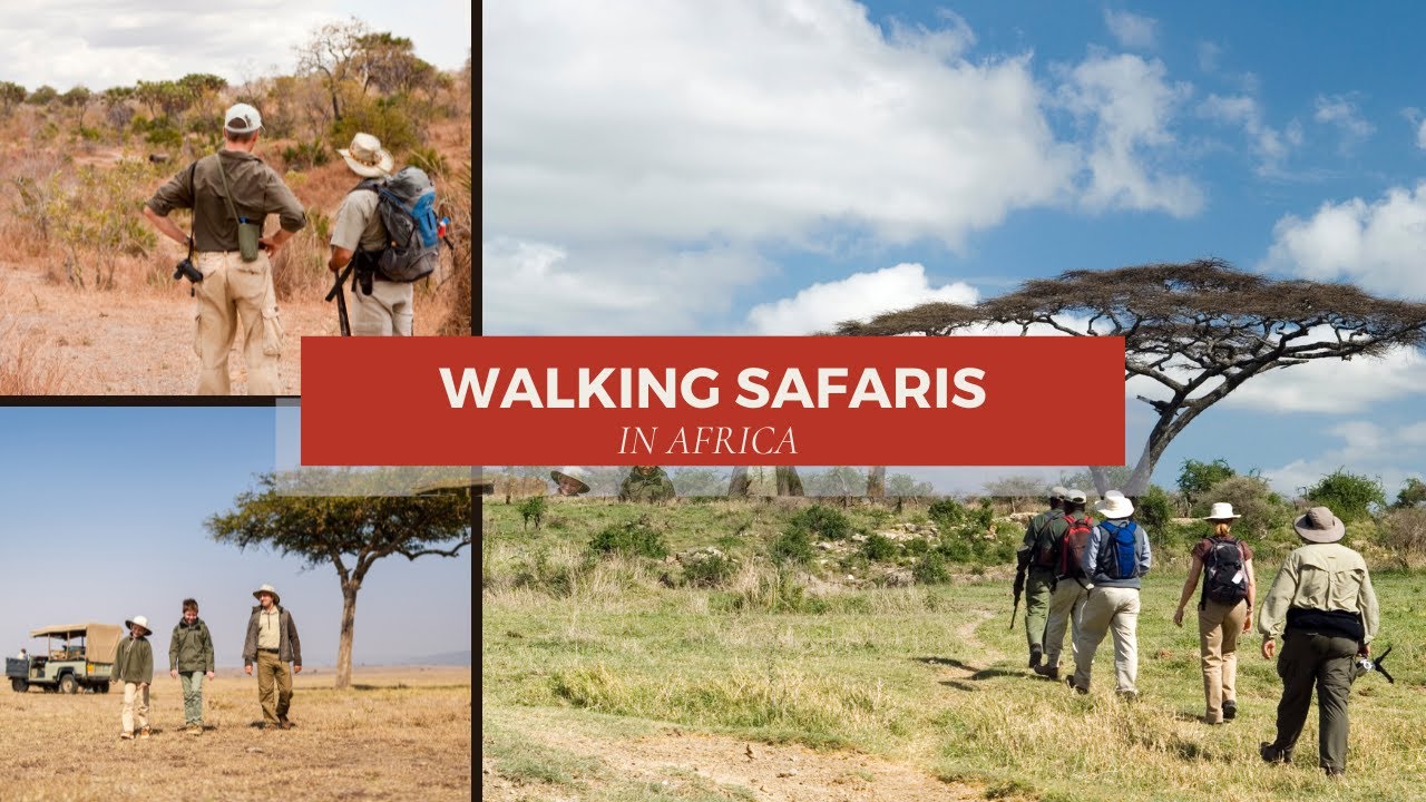 Walking Safaris in Africa