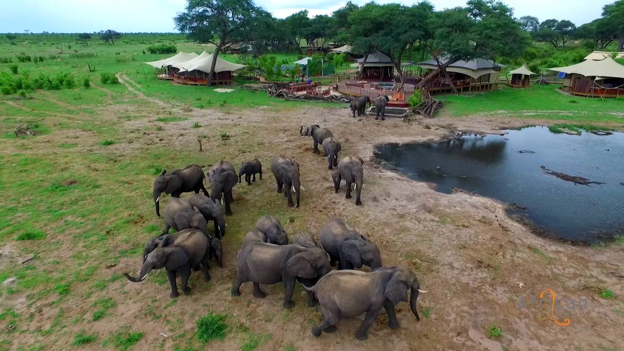 Somalisa in the Green (Secret) Season, Hwange National Park, Zimbabwe