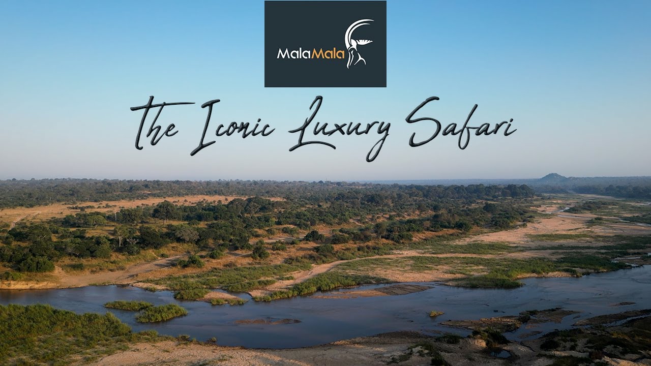 The Iconic Luxury Safari