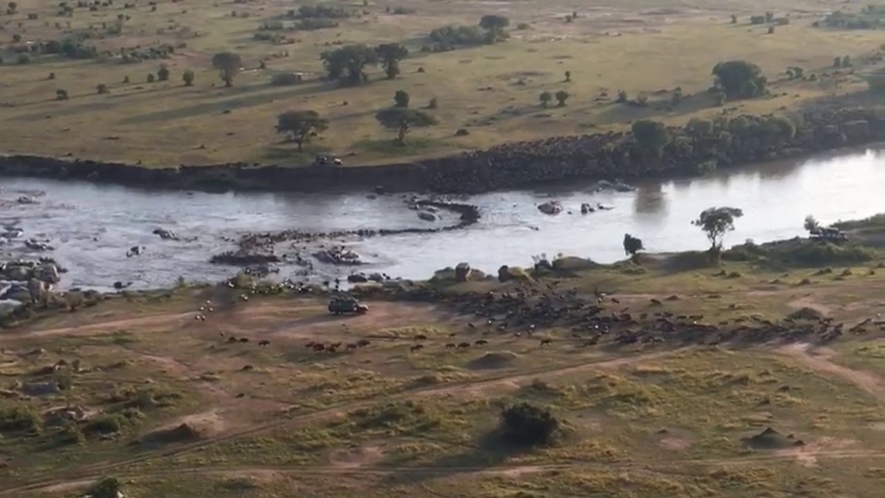 Latest #HerdTracker update: From the bird's eye-crossing point number 7