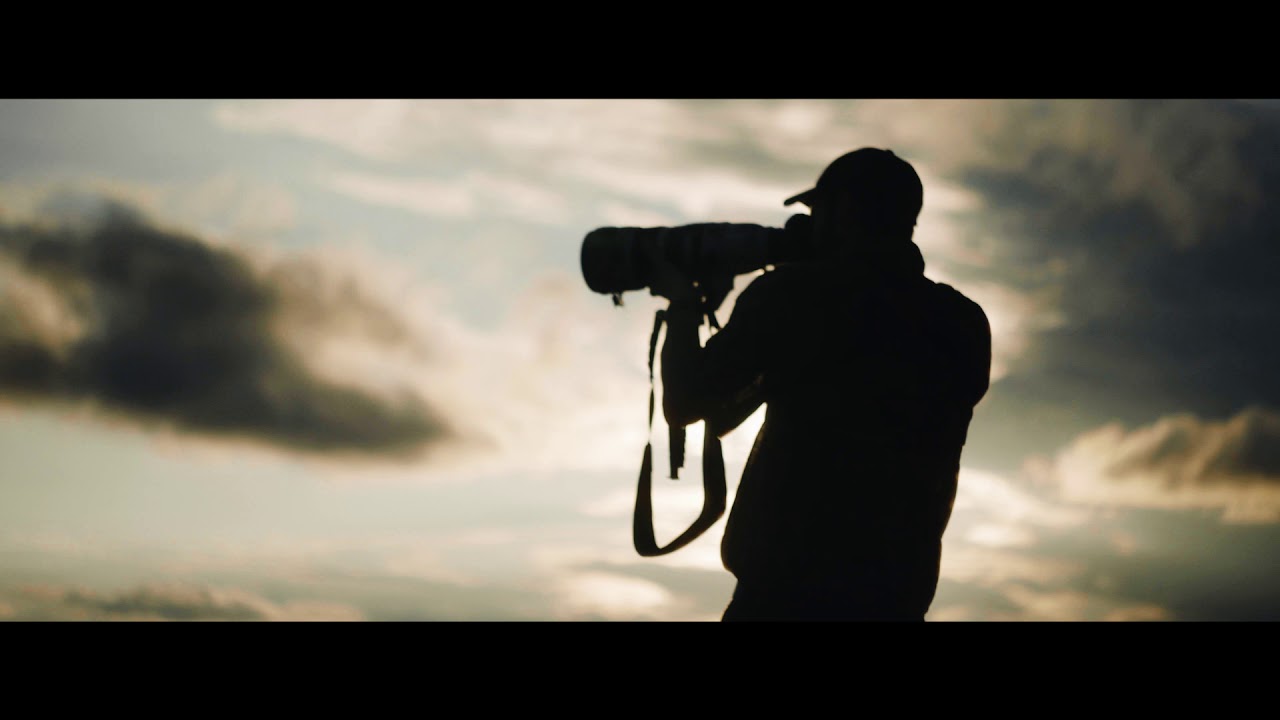 Neil Fairlie Photographic Safaris with The Hide and Changa, Zimbabwe