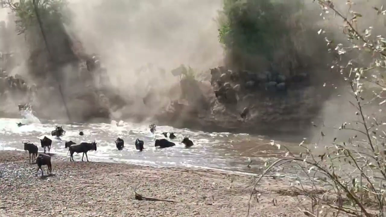 Dramatic Mara river crossing near Lookout Hill!