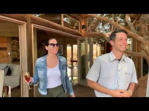Welcome to Tintswalo Lodges