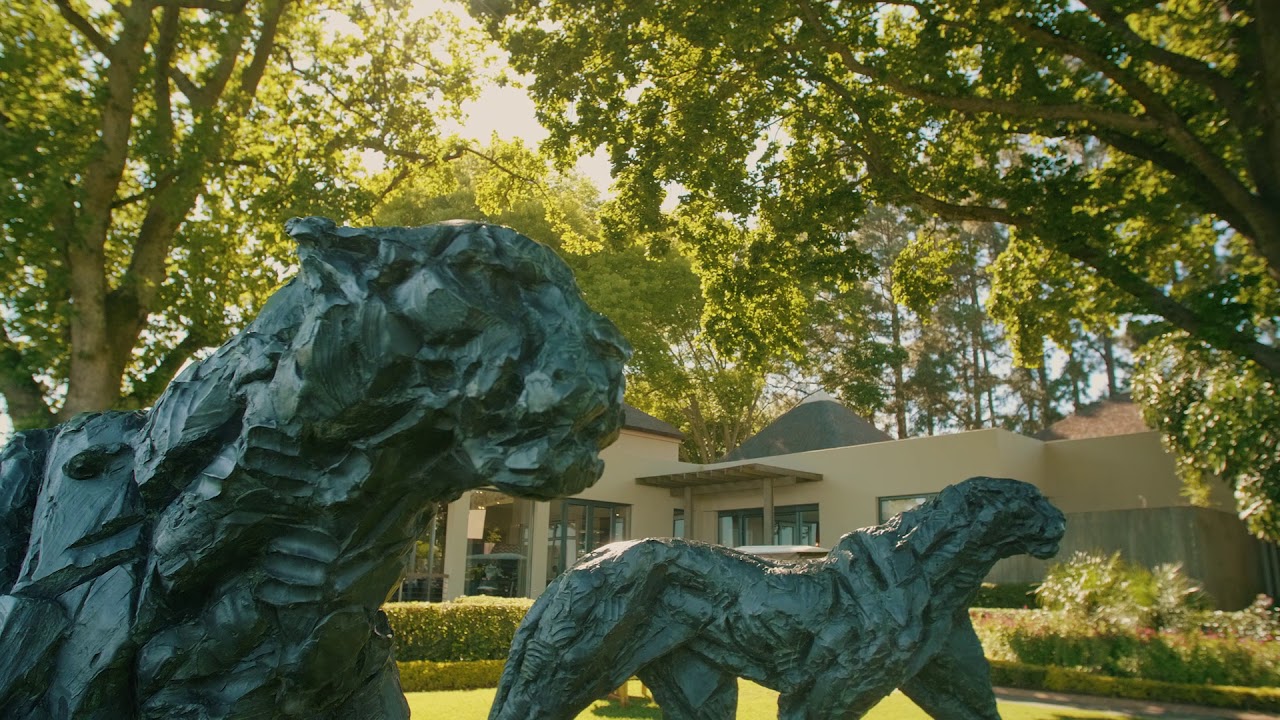 Delaire Graff Estate Gardens | A Botanical Wonder