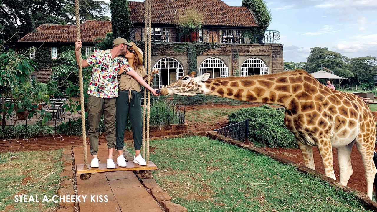 Introducing the Giraffe Manor Swing