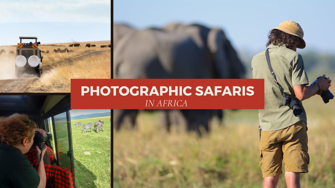 Photographic safari in Africa