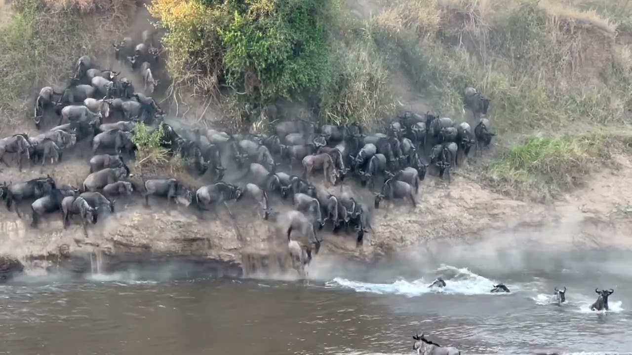 Mara river crossing at Miti Moja