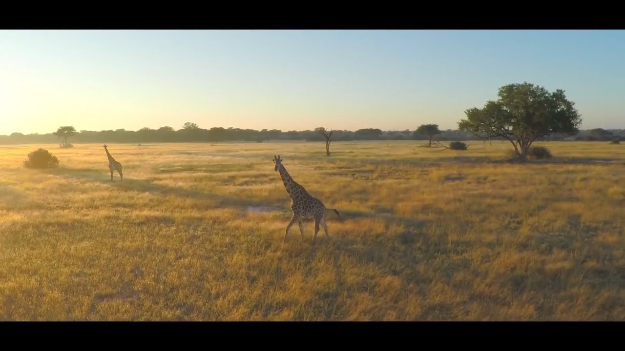 Best of Africa, The World Awaits