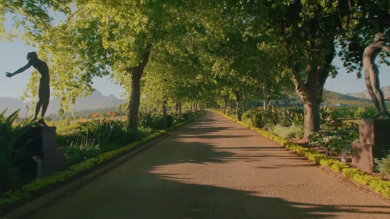 Delaire Graff Estate arrival