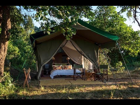 John's Camp- Mana Pools Zimbabwe