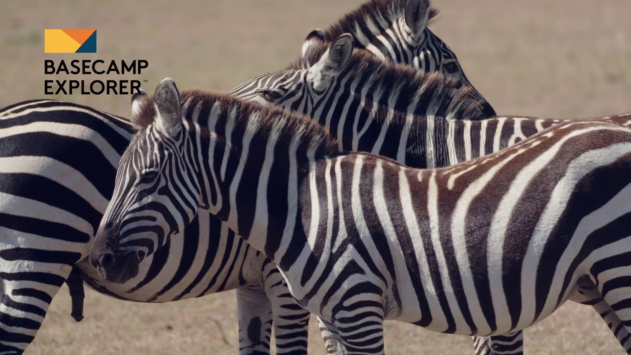 Basecamp Explorer Classic Safari