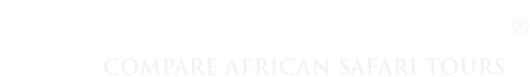 Safari Bookings review