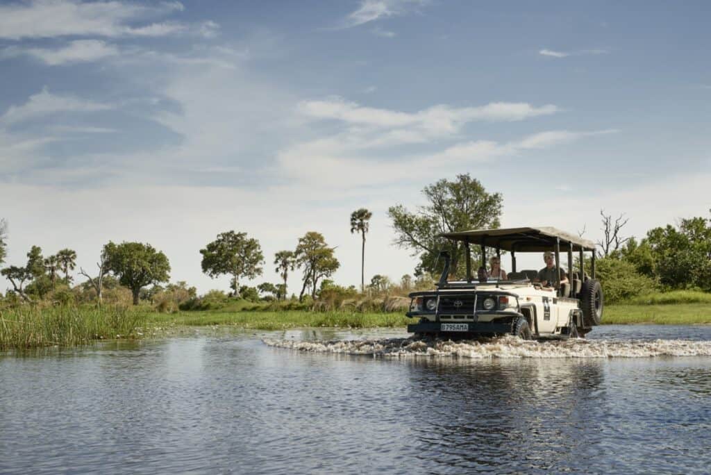 Game drive in the Okavango Delta showcasing why Botswana is safe for safari travel.