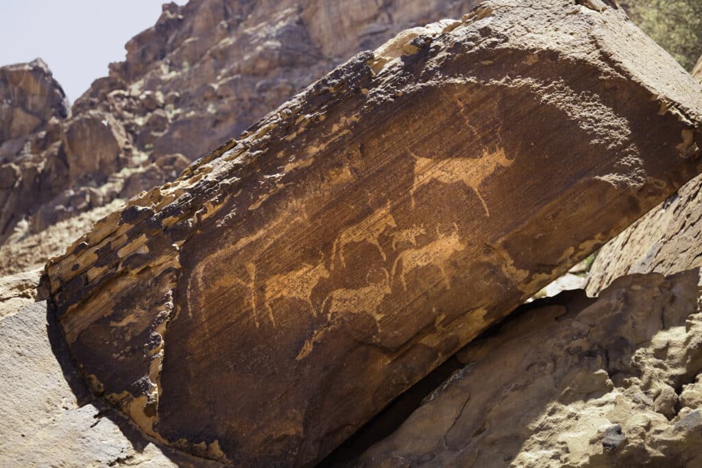 Ancient bushmen rock engravings (petroglyphs) at Twyfelfontain in Damaraland, Namibia
