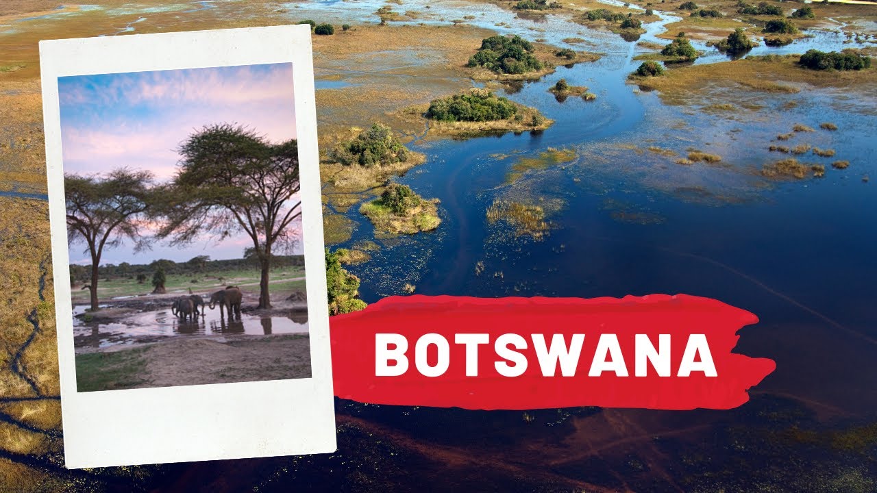 Rated　Safari　Holiday　Botswana　Safaris　Top　Vacations　Operator
