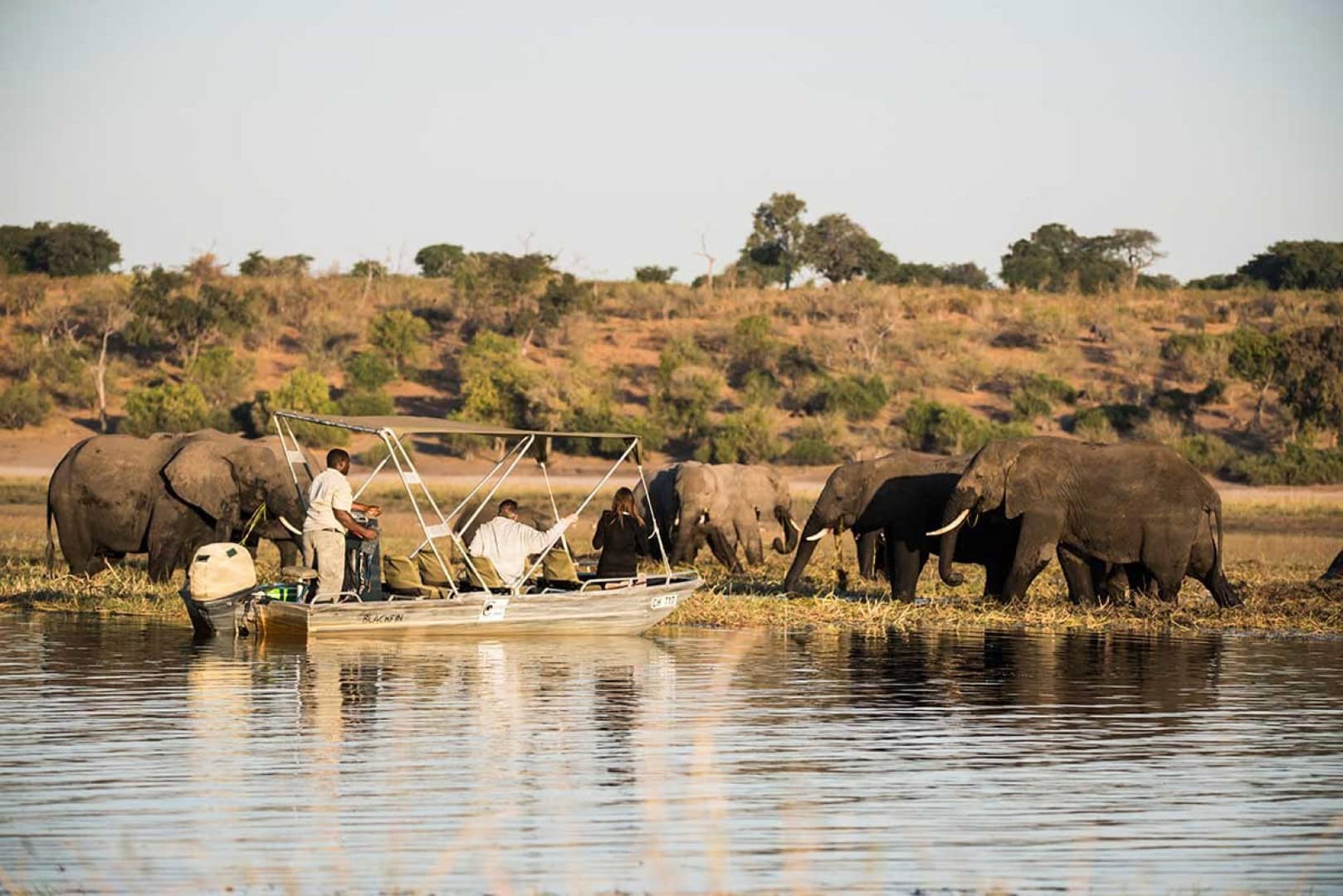Elephants in Chobe National park. Which can be seen on a Botswana family safari.