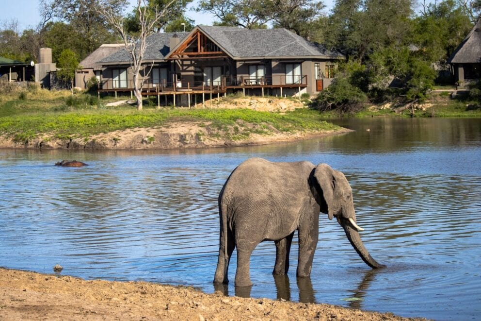 Arathusa Safari Lodge views with Elephant in forefront in Kruger National Park, South Africa