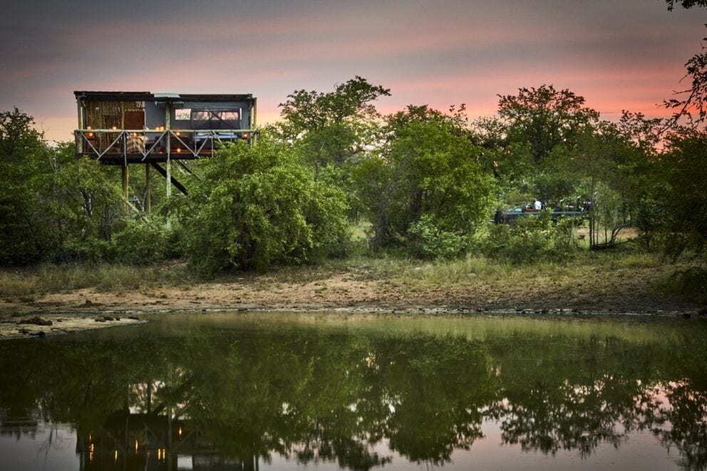 Giraffe nest from the water | Photo credit: Motswari Private Game Reserve