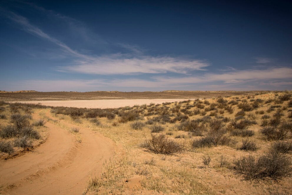 Wilderness walk activity | Photo credits: !Xaus Lodge