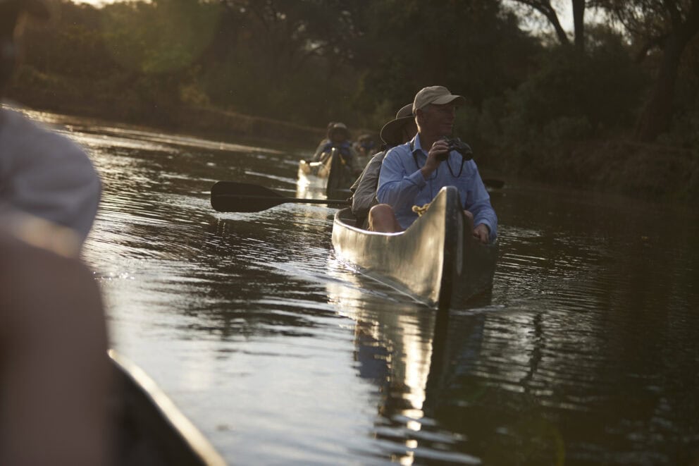 Tourists canoeing on safari, Zambezi, Zambia