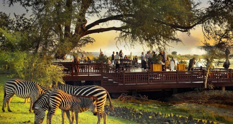 Two weeks in Zambia - a holiday itinerary