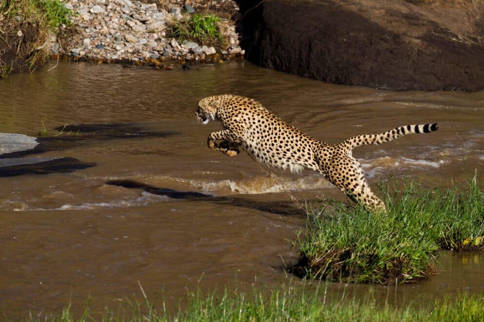 Five great walking safaris to go on in Africa