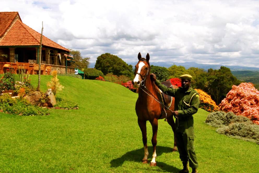 The Most Majestic Lodges for Spotting Wildlife in Aberdare National Park