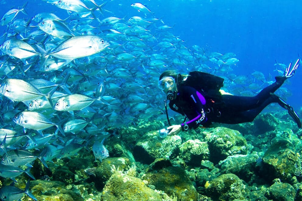 Top five lodges in Bazaruto for a scuba holiday