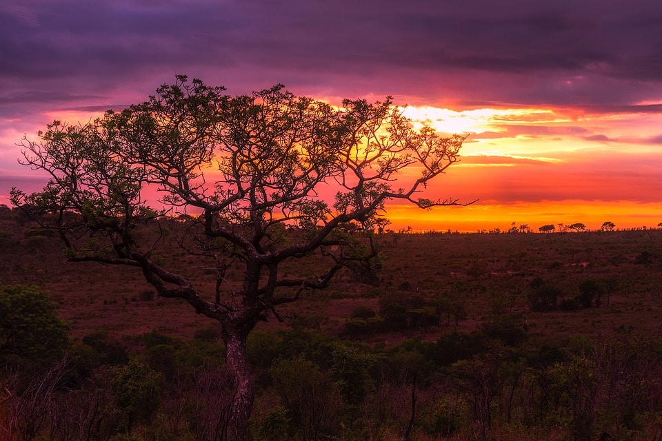 From Sabi Sands to the Zambezi: Why the journey of a lifetime is well worth the price