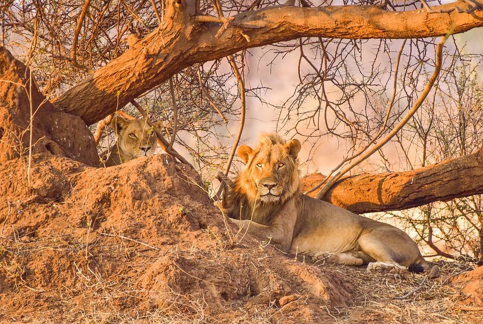 What Does it Cost to Visit one of the World’s most prestigious Heritage Sites?