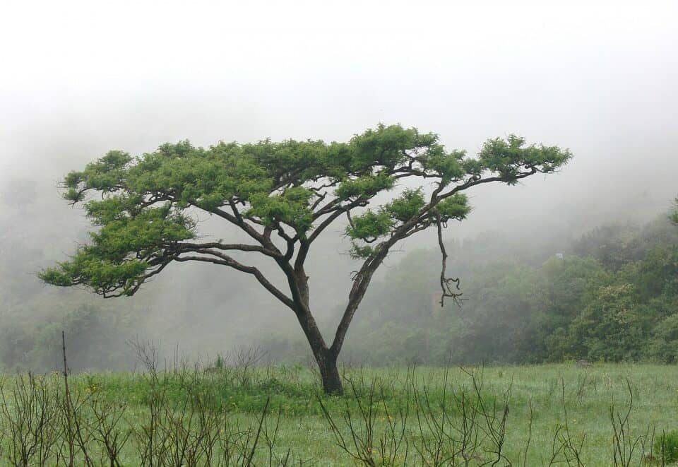 What Does it Cost to Visit one of the World’s most prestigious Heritage Sites?