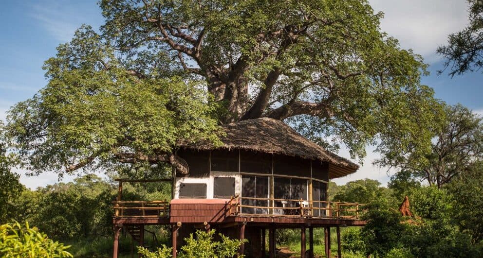 Luxury Lodge of the Week: Elewana Collection’s Tarangire Treetops