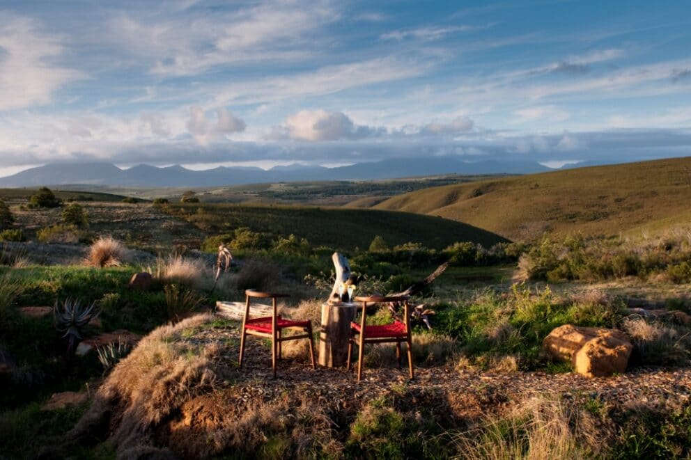 Bush dining in Gondwana Game Reserve, a great option for a safari near Cape Town