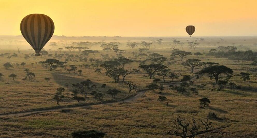 Share the wonder of a Great Migration safari with your partner