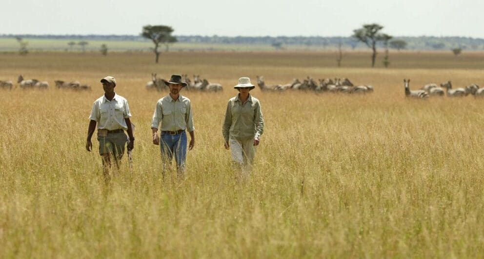 Share the wonder of a Great Migration safari with your partner