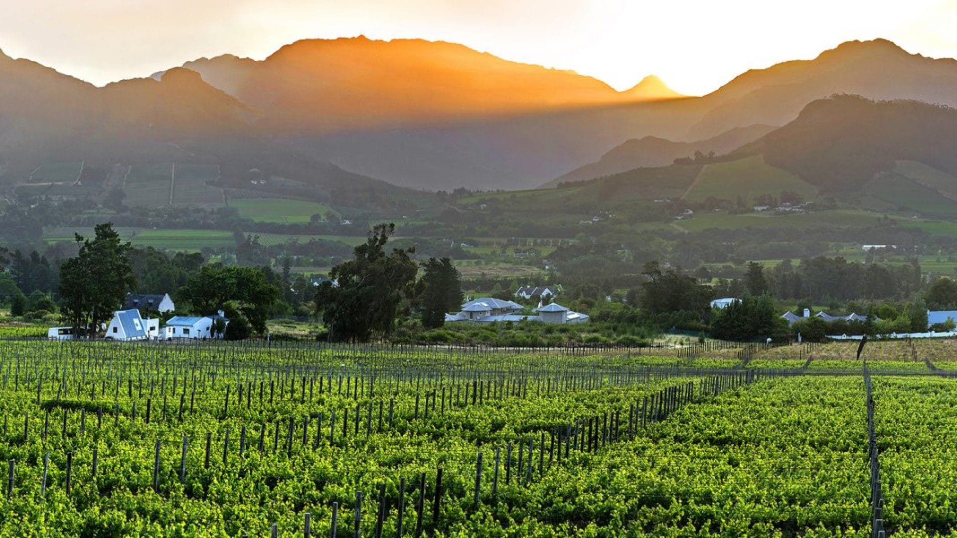 Stellenbosch and the Winelands_Franschhoek