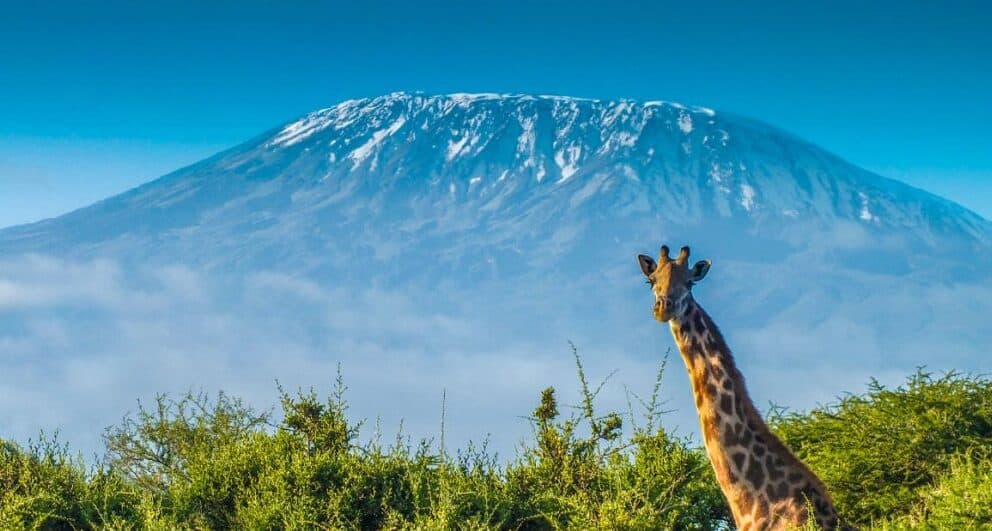 Trekking Mount Kilimanjaro