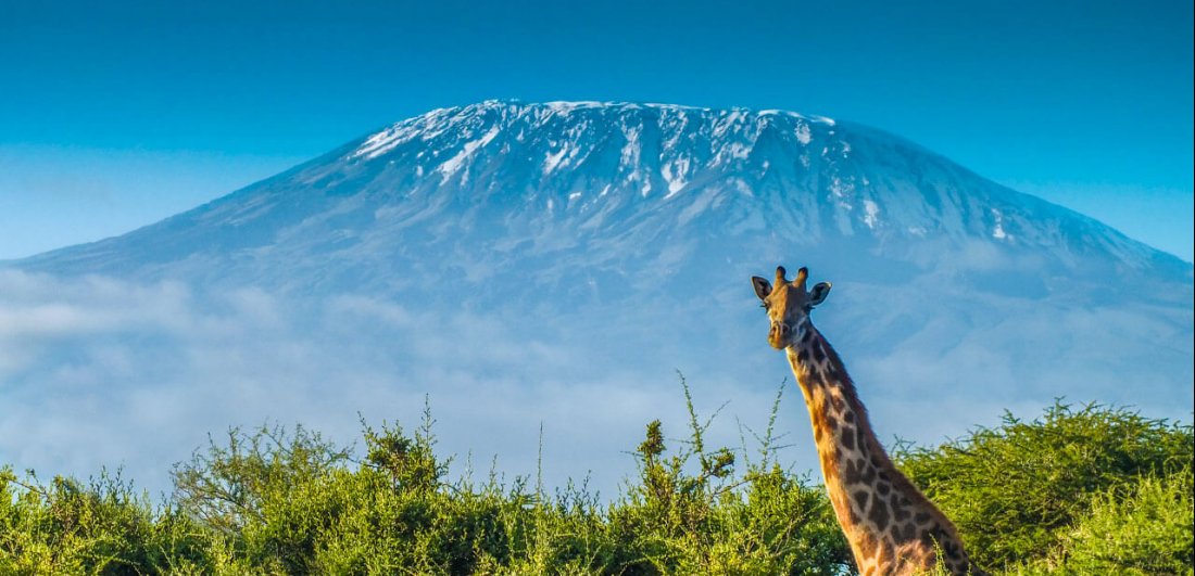 Trekking Mount Kilimanjaro