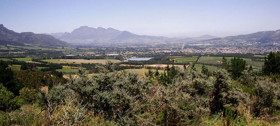 paarl in the cape winelands south africa safari