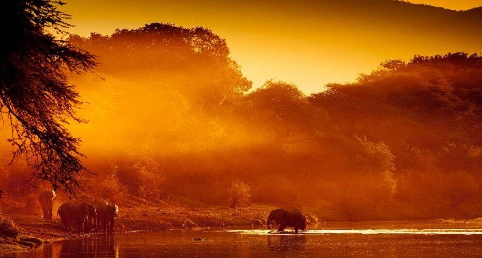 Four of the best things about Victoria Falls