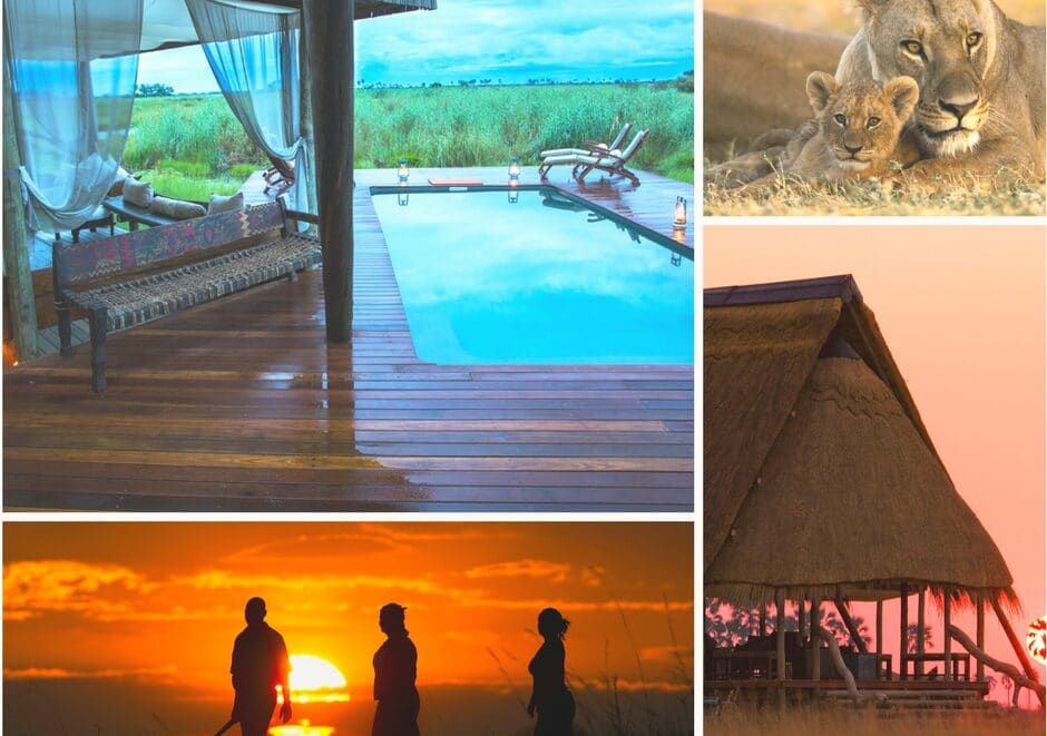 Why you should consider Selinda for your next safari