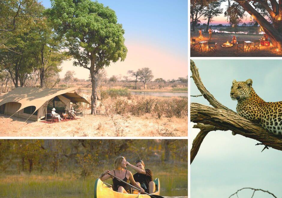 Why you should consider Selinda for your next safari