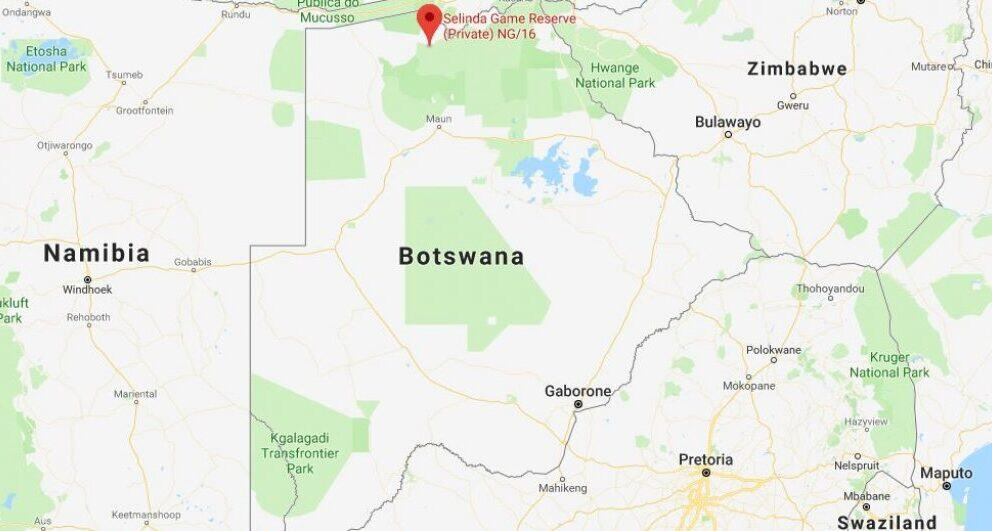 Why you should consider Selinda for your Botswana safari