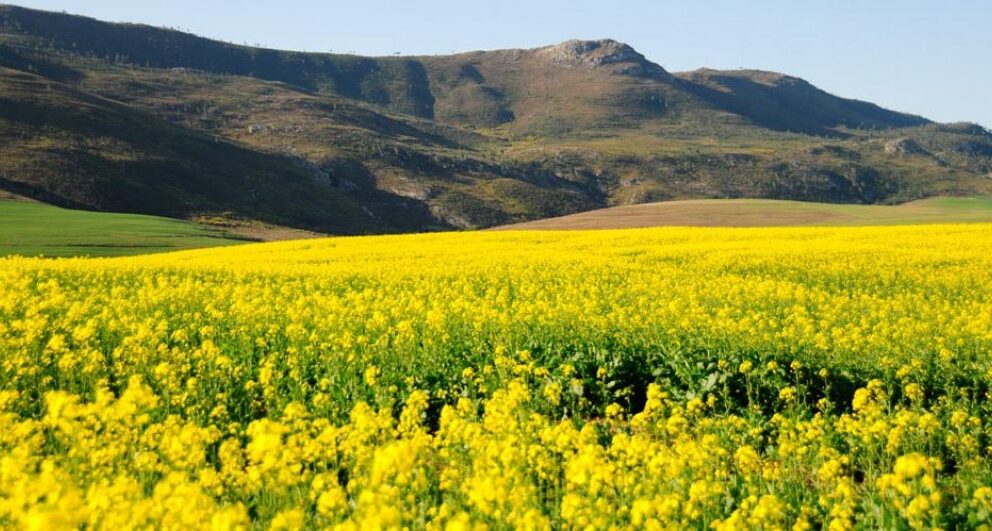 Three autumn getaways in the Western Cape