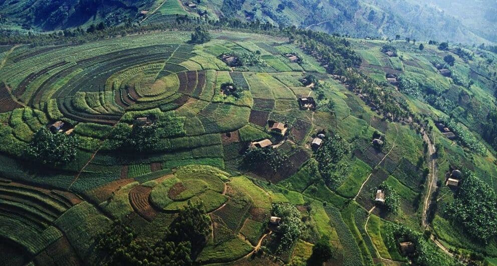 Seven things you should know before travelling to Volcanoes National Park