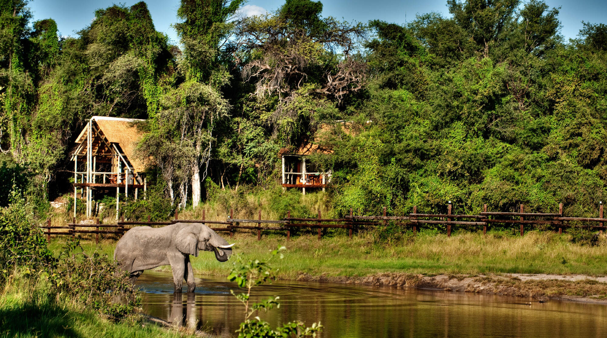Savute Safari Lodge| Botswana luxury Safari