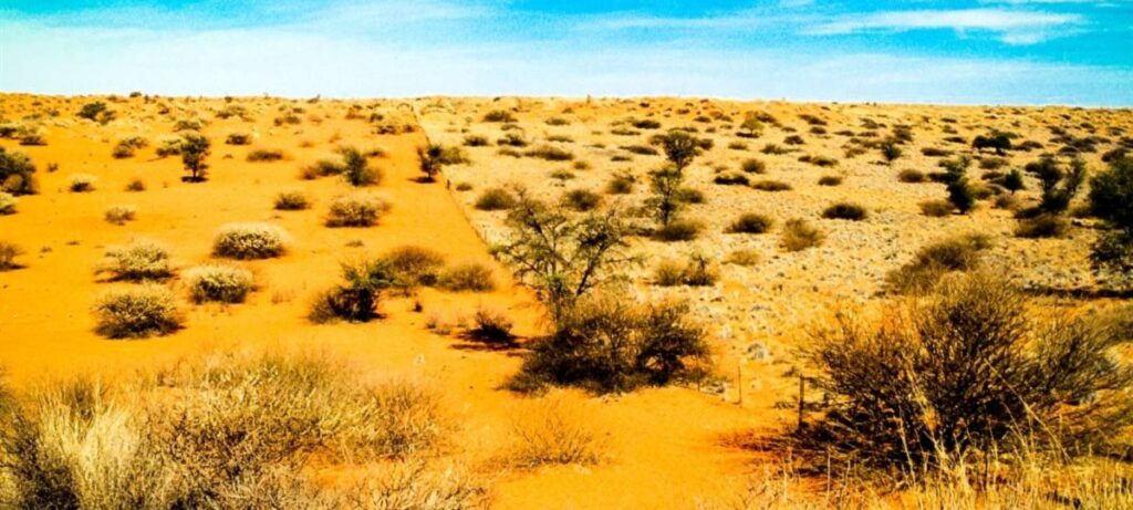 The Kalahari is a spectacular desert that teems with life