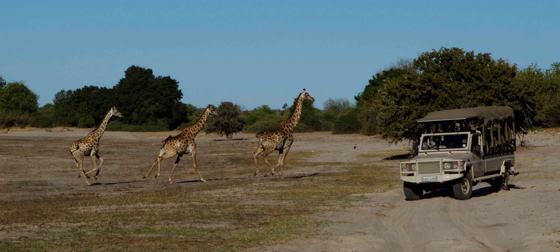 botswana safari malaria